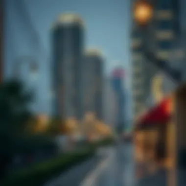 Understanding the Price of Freelance Visas in Dubai Summary