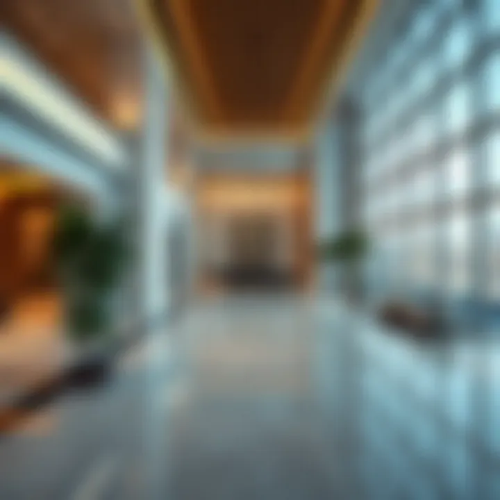 Notable Understanding the UAE Sponsor Visa: A Comprehensive Overview