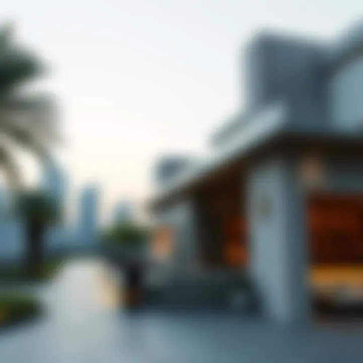Understanding the UAE Sponsor Visa: A Comprehensive Overview Summary
