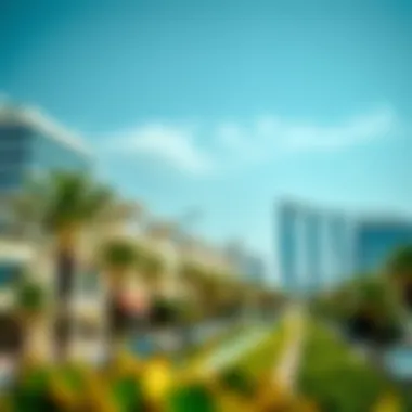 Seasonal Weather Variations in Dubai Seasonal changes in Dubai's weather with temperature variations