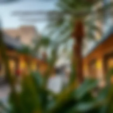 Community Life and Amenities in ياس بي Vibrant community spaces in ياس بي, highlighting lifestyle amenities