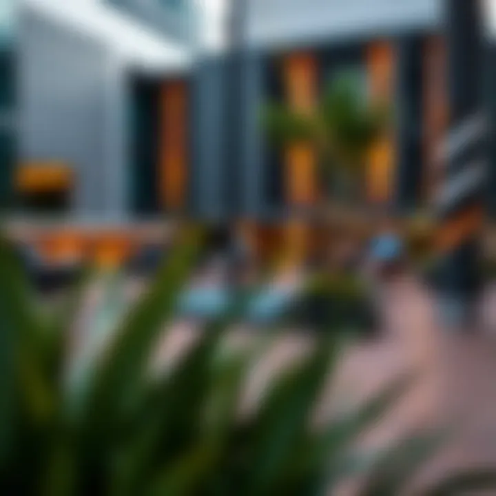 Recreational Amenities in Vida Downtown Recreational spaces and amenities in Vida Downtown